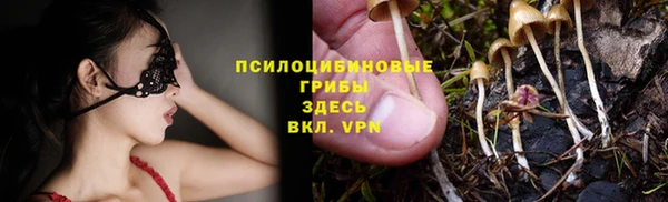 прущие грибы Армянск
