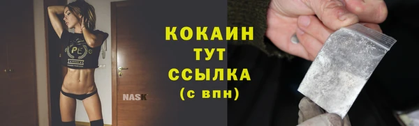 прущие грибы Армянск