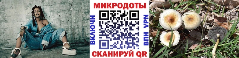 Псилоцибиновые грибы мицелий  Каспийск 