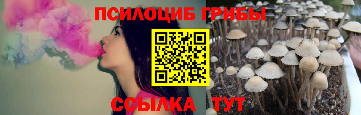 Псилоцибиновые грибы мухоморы Каспийск